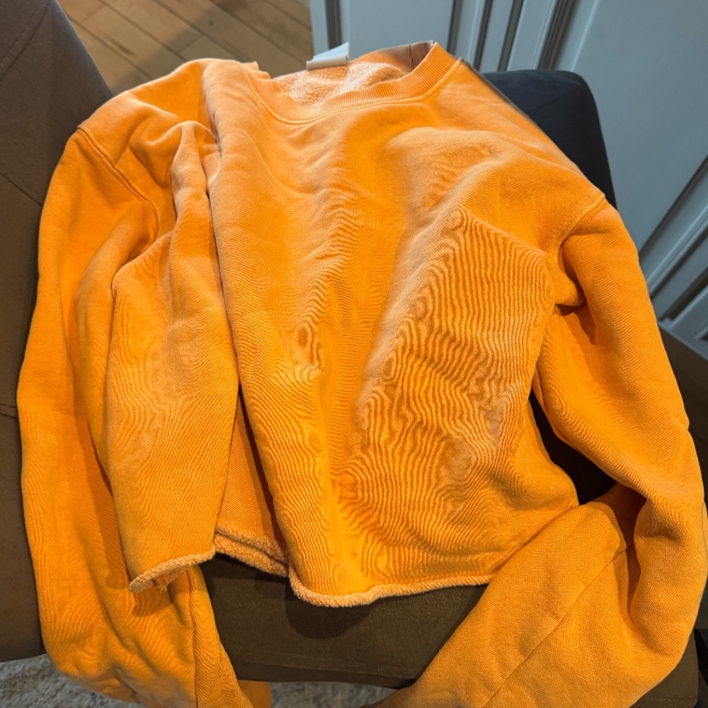 Aritzia sweashirt